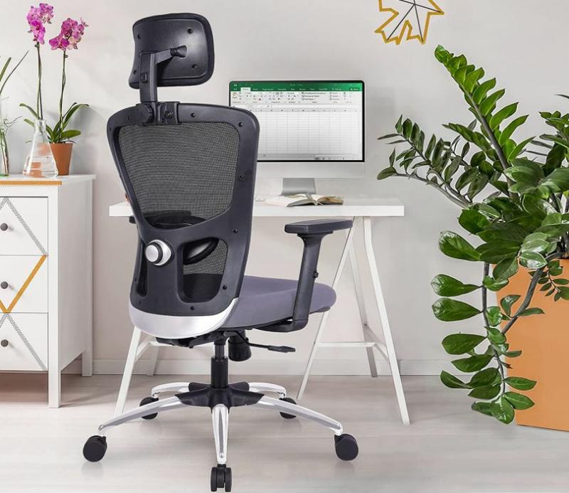 Jupiter Go High Back Evolutionary Ergonomic Office Chair (Grey) Computer Chairs