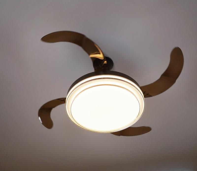 Purity In Motion Lighting Fan-Black Ceiling Lights